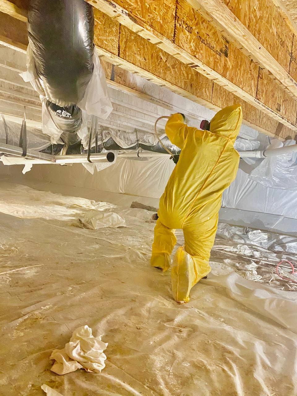 Mold remediation project