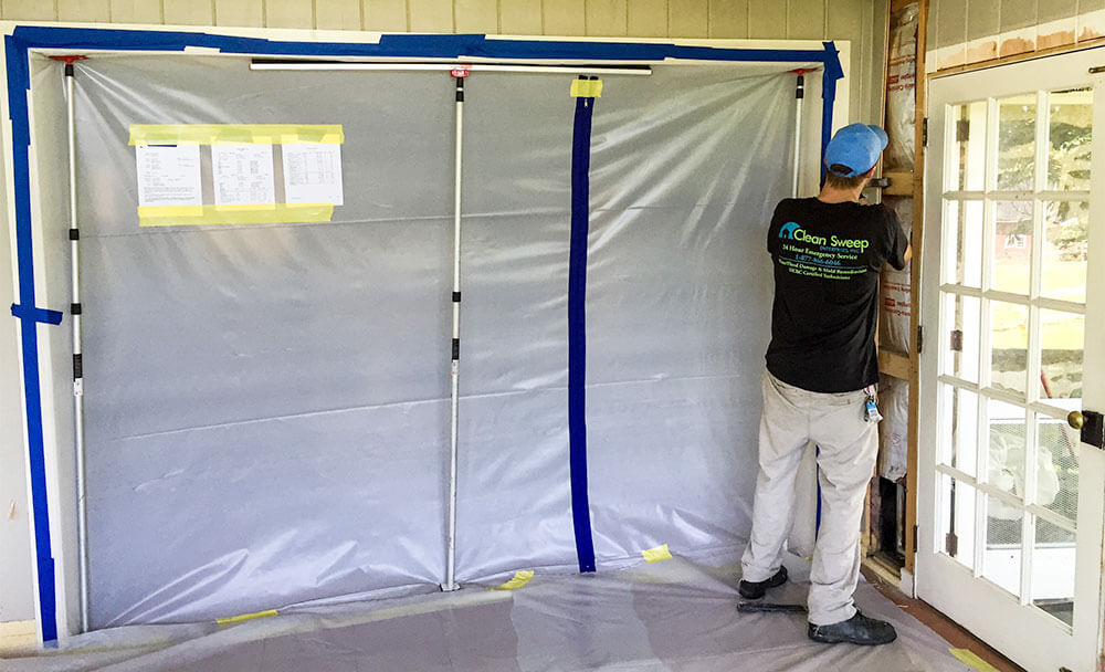 Professional Mold Remediation
