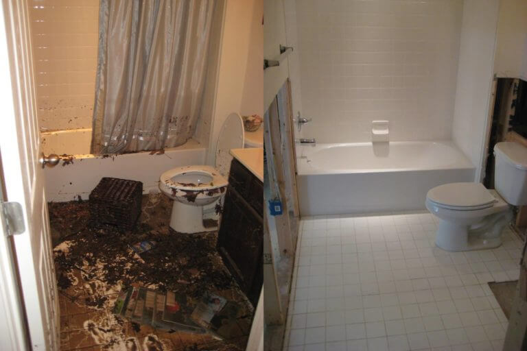 Sewage Cleanup Before and After